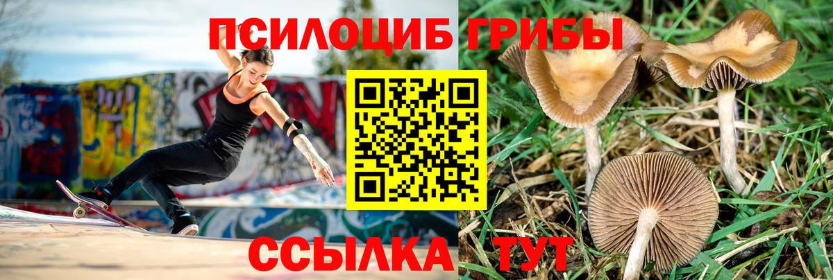 Галлюциногенные грибы GOLDEN TEACHER  Галлюциногенные грибы мухоморы  Нижнеудинск  Вход с VPN 