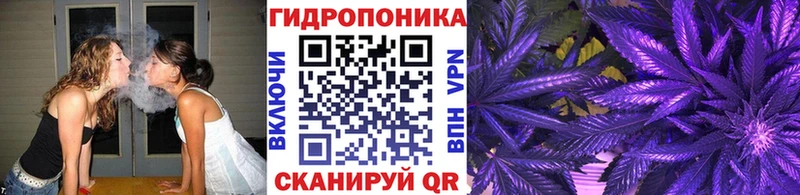 Конопля ГИДРОПОН  закладка  Нижнеудинск 